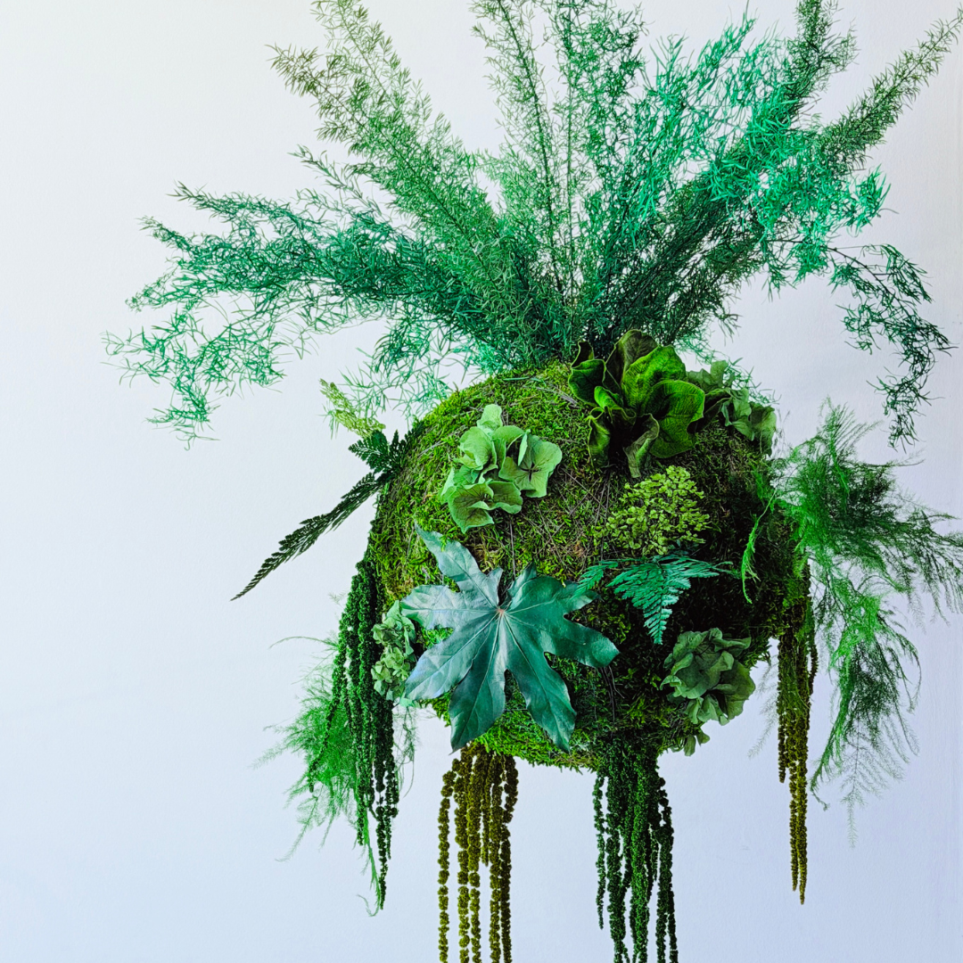 Kokedama preservado Colecção TERRAE