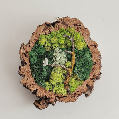 quadro musgo preservado em Cortiça FOREST — Wild Green