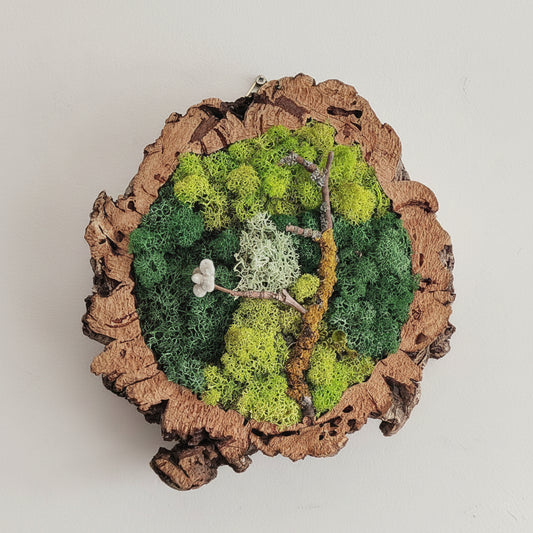 quadro musgo preservado em Cortiça FOREST — Wild Green