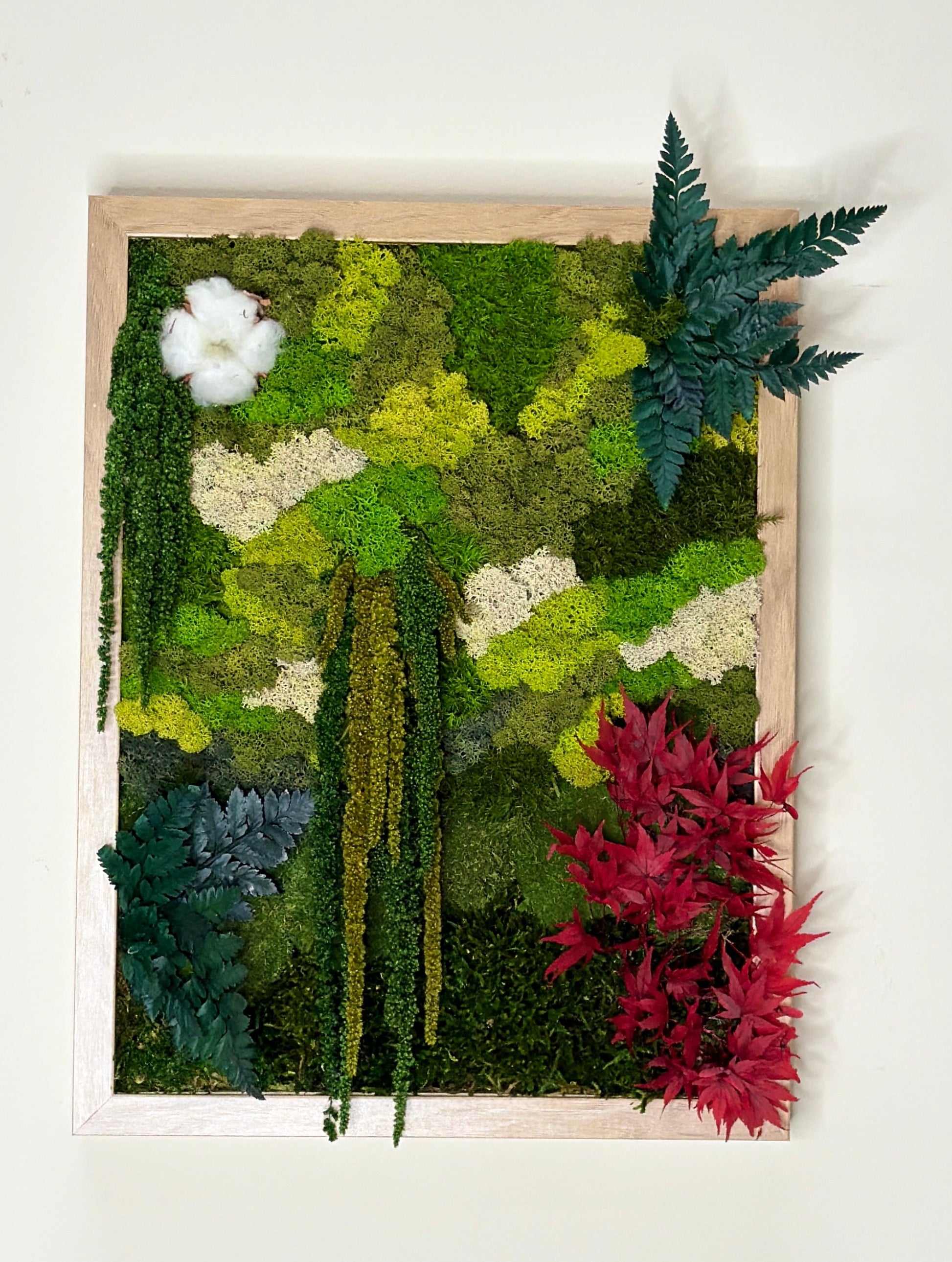 musgo e plantas preservadas moldura