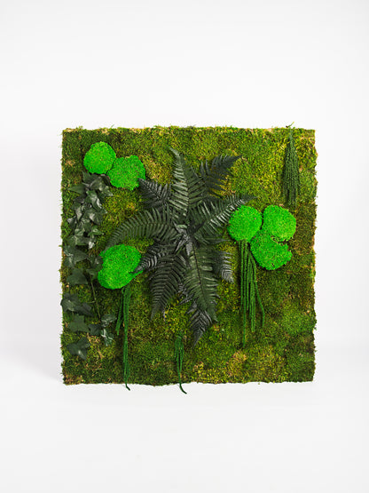 Molduras / painéis / jardins verticais e revestimentos com musgo e plantas preservadas