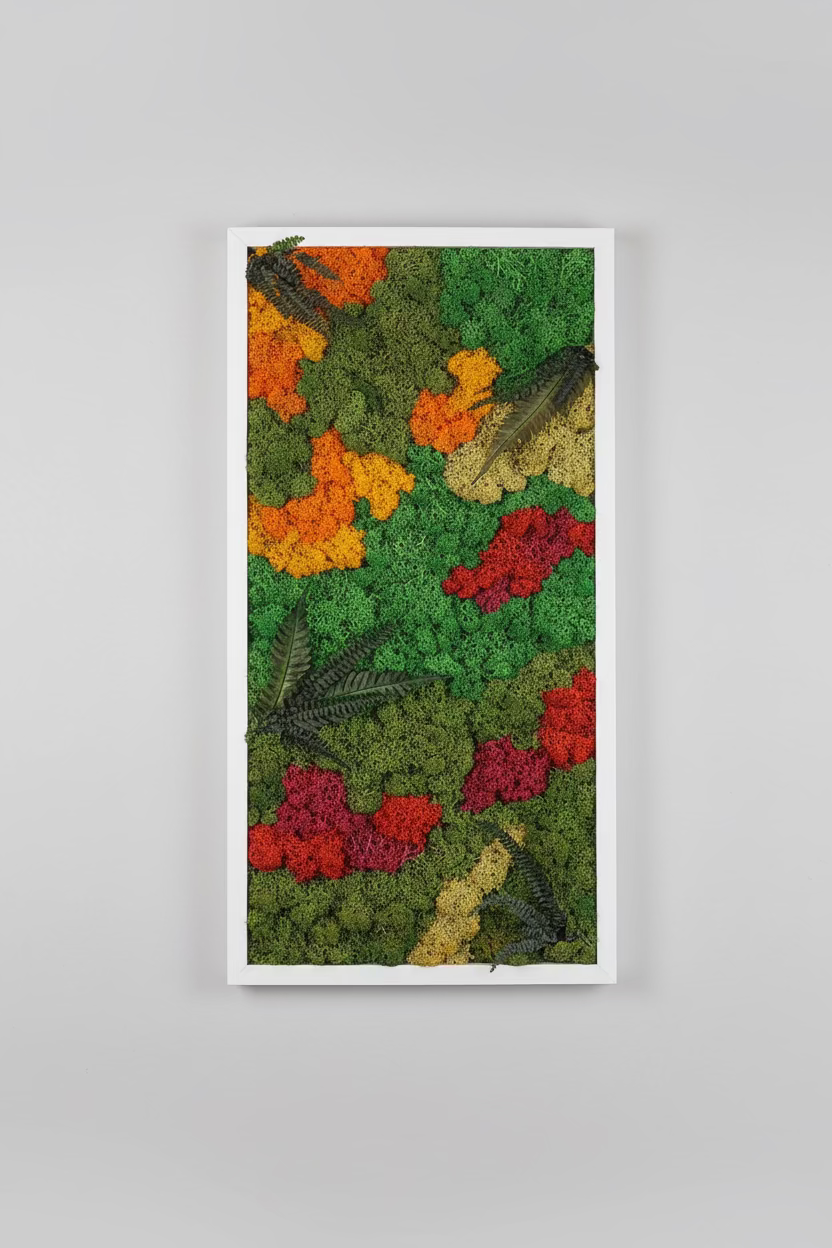 quadro musgo preservado
