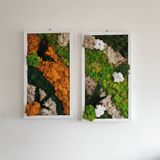 quadros musgo preservado