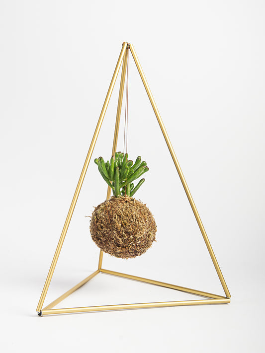 Pirâmide com Kokedama Suculenta